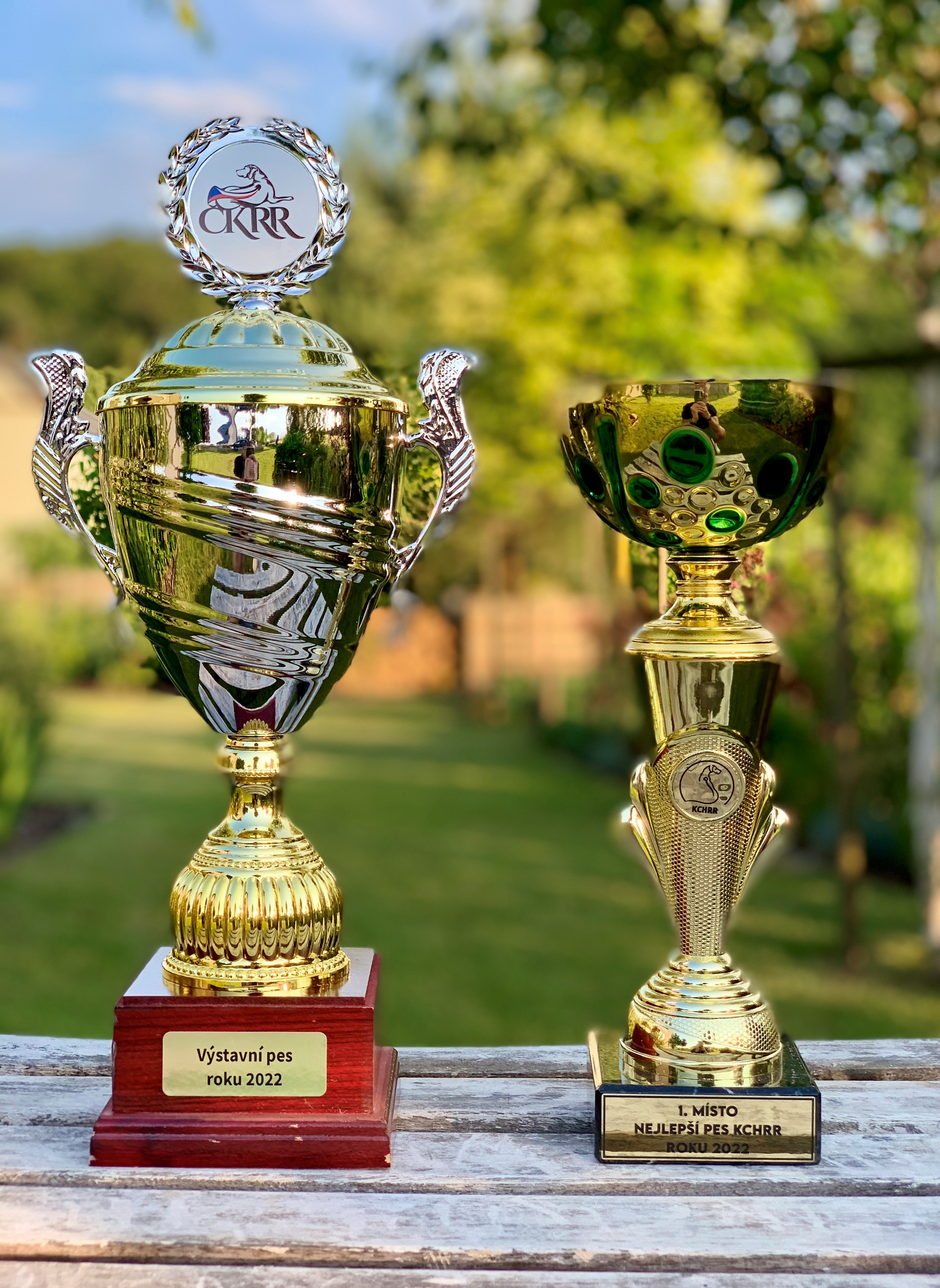 THE CUPS FOR ANNUAL COMPETITIONS ARE ALREADY AT HOME